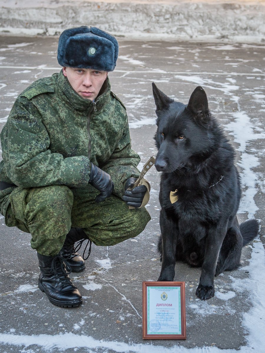 Кинологи пограничной службы России